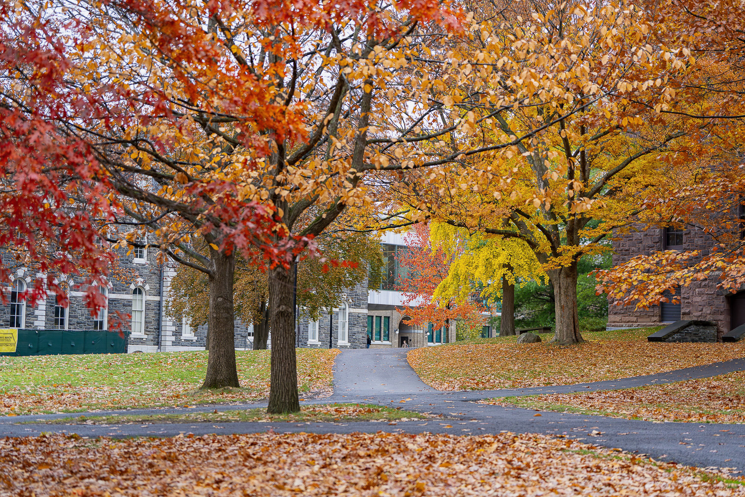 Brilliant Fall